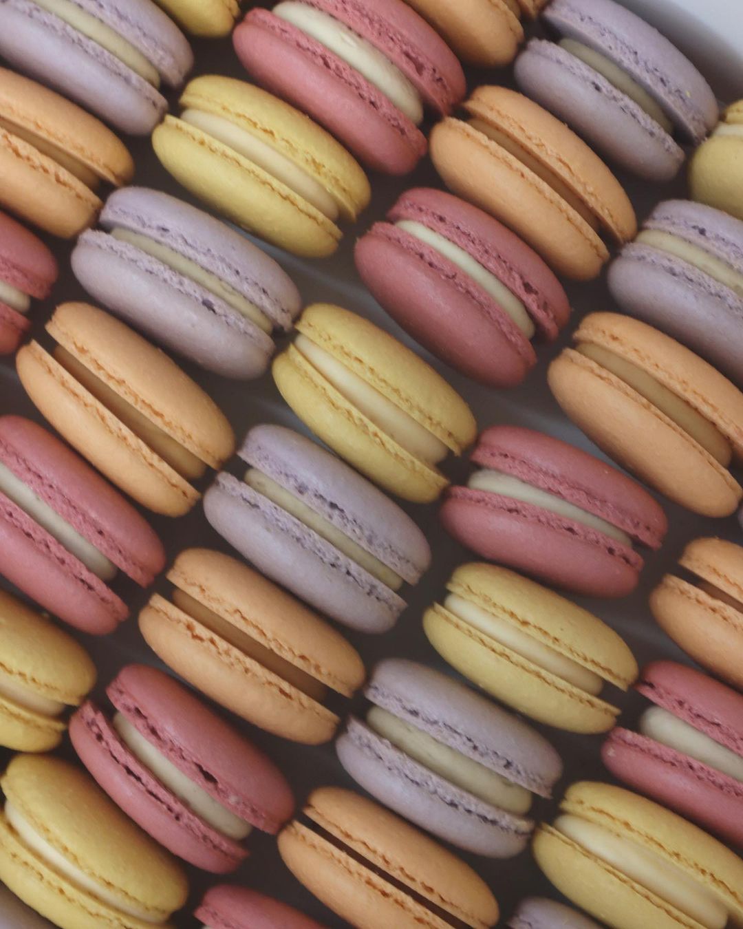 手工馬卡龍 Macaron