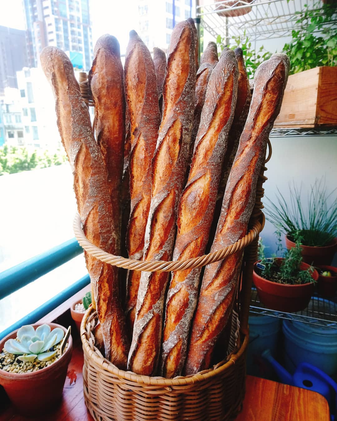 法棍 Baguette 250g