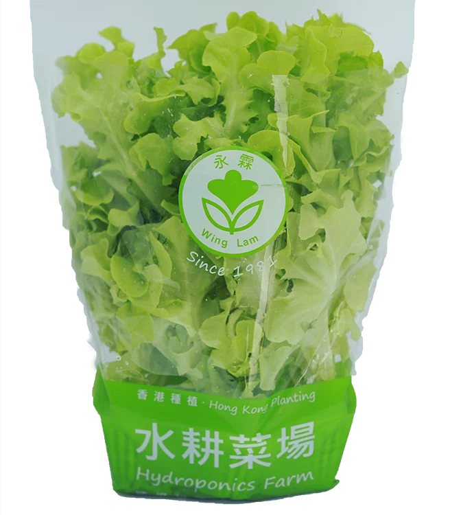 綠橡葉 - 水耕菜 200g