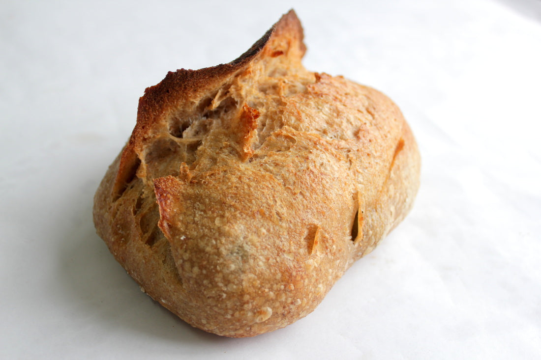 100% 杏脯全麥酸種麵包 100% whole wheat sourdough with Apricot 500g
