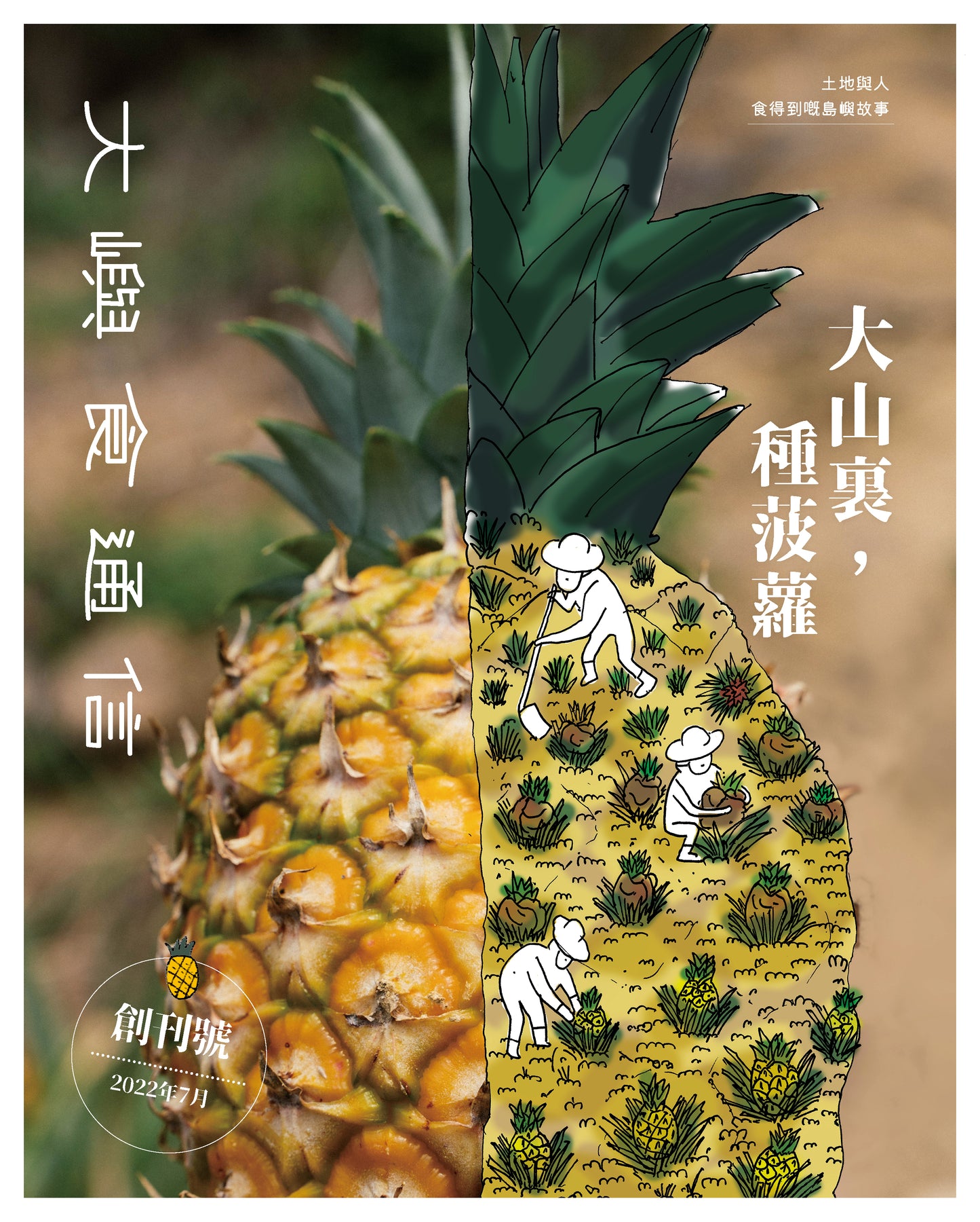 梅窩何氏果園 石硤龍眼禮盒( 糖度達20度!)