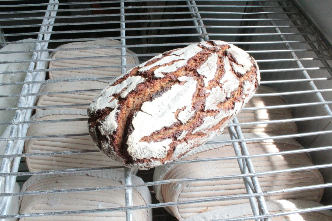100% 黑麥酸種麵包 100% Soudough rye 1000g