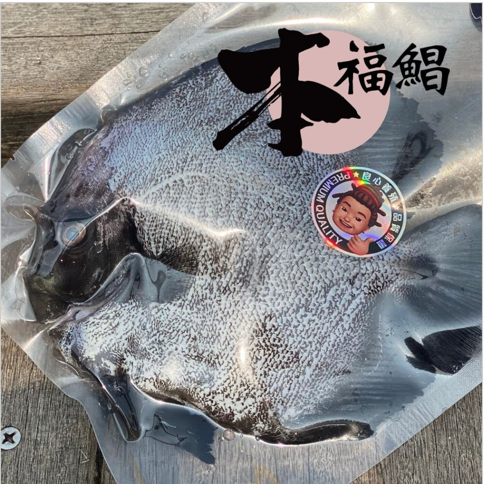 本福鯧(石鯧)