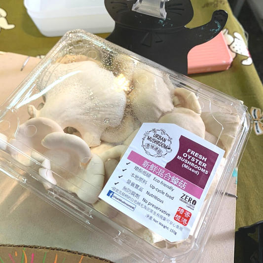 混合蠔菇 Oyster Mushroom